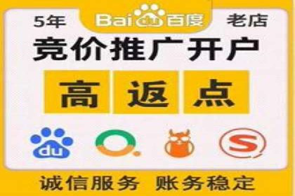 网络推广中竞价广告的投放策略及成功案例